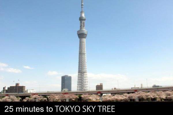 Mizue Dai-Ichi Hotel Tokyo Eksteriør bilde